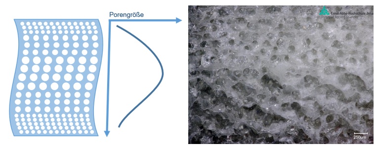 Links: Projektziel: Erzeugung von speziell einstellbaren graduierten Porenverläufen; Rechts: Proof-of-Principle: einfacher graduierter Porenverlauf (Querschliff) im SLS-Bauteil