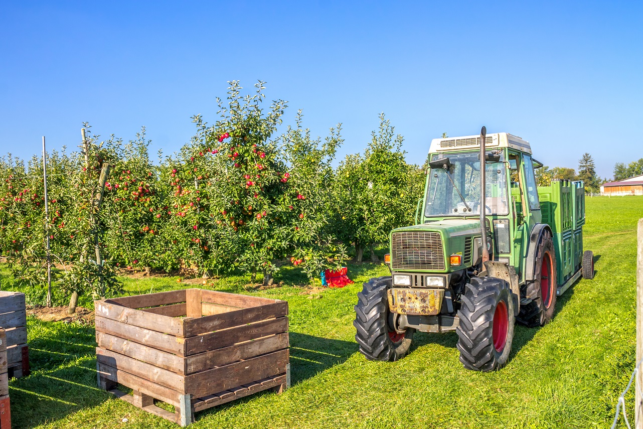 Ein landwirtschaftlichers Anwendungsszenario wird realisiert: Intralogistik von Obstgroßkisten während der Ernte.