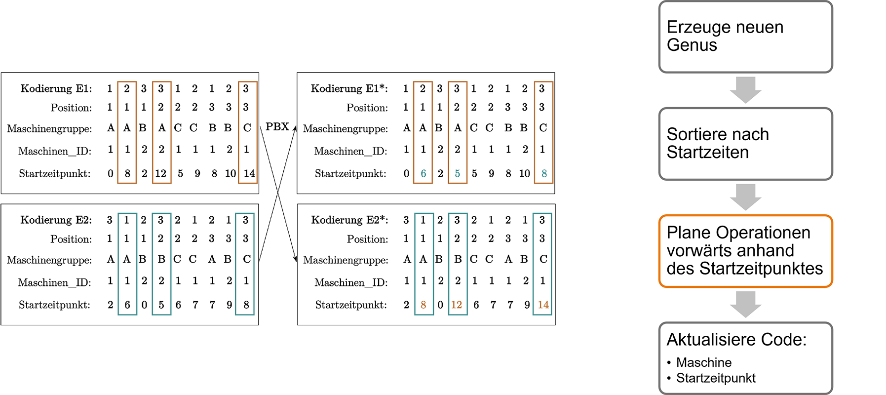 Genetische Optimierung