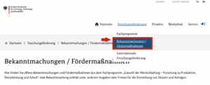 Screenshot eines Teils der Startseite der Internetseite www.zukunft-der-wertschoepfung.de